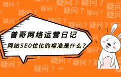 网站SEO优化的标准是什么?缩略图