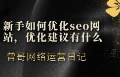 新手如何优化seo网站，优化建议有什么缩略图