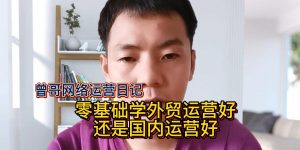 零基础学外贸运营好还是国内运营好缩略图