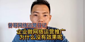 企业做网络运营推广为什么没有效果呢缩略图