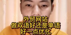 外贸网站做双语好还是单语好一点优化缩略图
