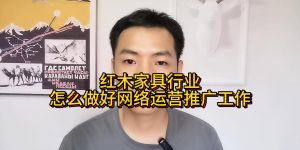 红木家具行业怎么做好网络运营推广工作缩略图