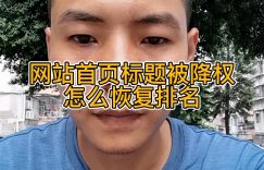 网站首页标题被降权怎么恢复排名缩略图