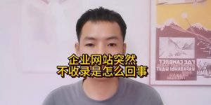 企业网站突然不收录是怎么回事缩略图