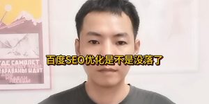 百度SEO优化是不是没落了缩略图