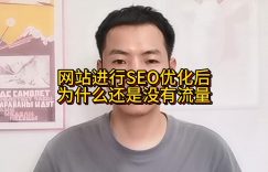 网站进行SEO优化后为什么还是没有流量缩略图