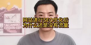 网站进行SEO优化后为什么还是没有流量缩略图