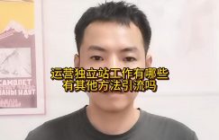 运营独立站工作有哪些？有其他方法引流吗缩略图
