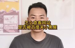 怎么查看网站是否被百度关小黑屋缩略图