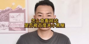 怎么查看网站是否被百度关小黑屋缩略图