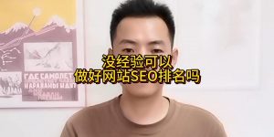 没经验可以做好网站SEO排名吗缩略图